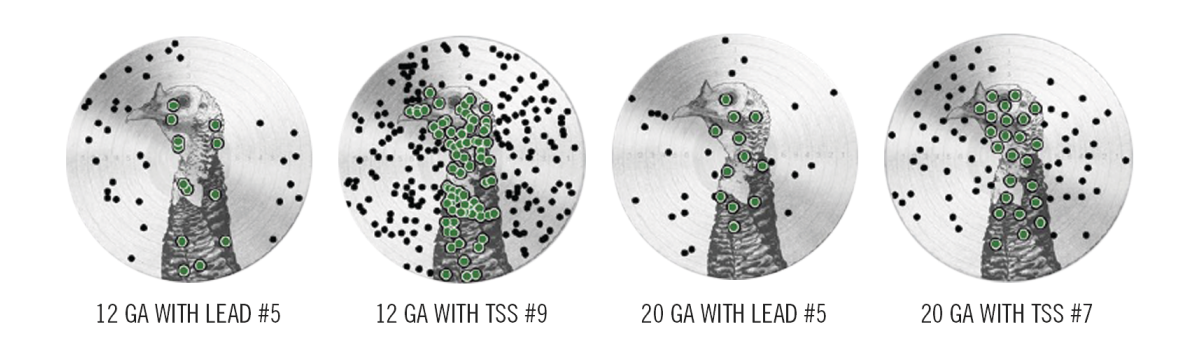Shot turkey targets