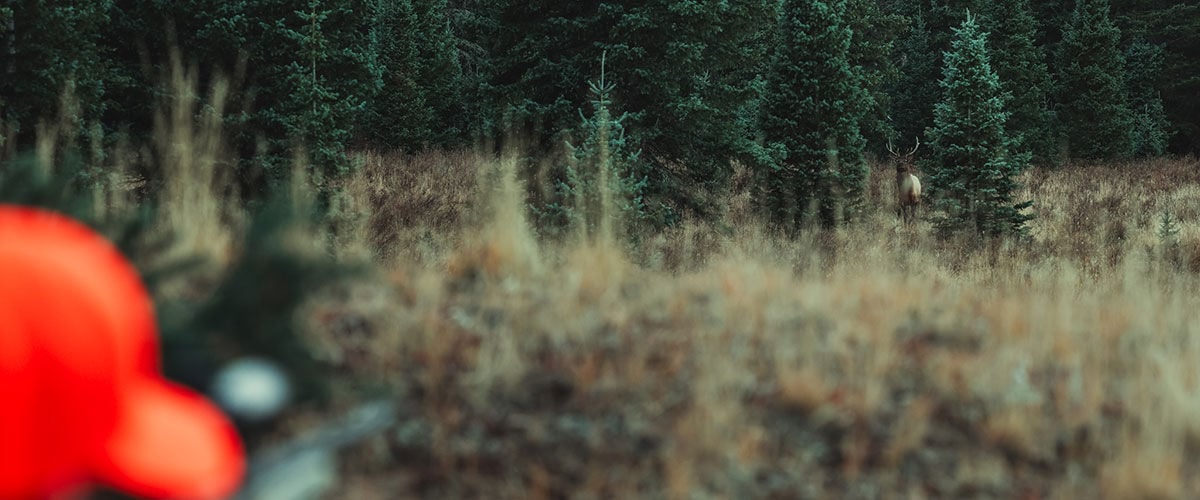 hunting aiming rifle at an elk standing between two trees