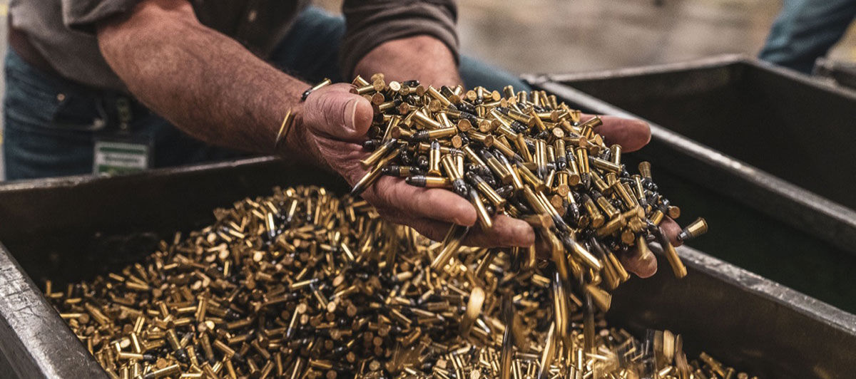 person with a handful of Remington rimfire cartridges