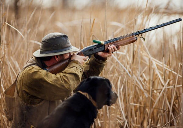 hunter aiming shotgun with a hunting dog beside him