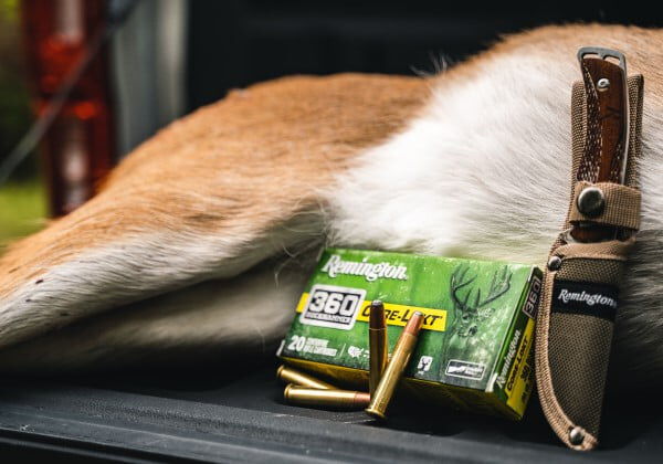 Core-Lokt 360 Buckhammer box and cartridges laying next to a dead deer and knife