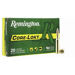 Core-Lokt packaging and cartridges