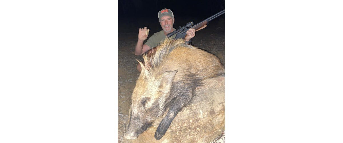 dead bushpig shot with 360 Buckhammer cartridge with the hunter behind it