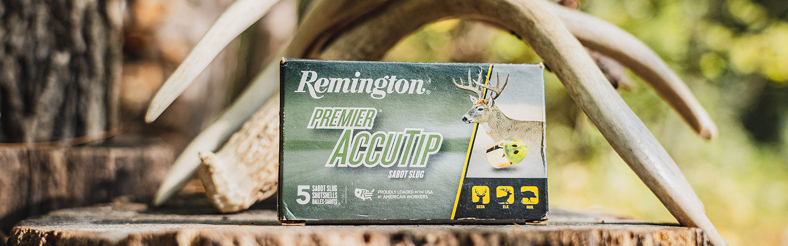 Premier AccuTip box on a tree trunk with deer antlers
