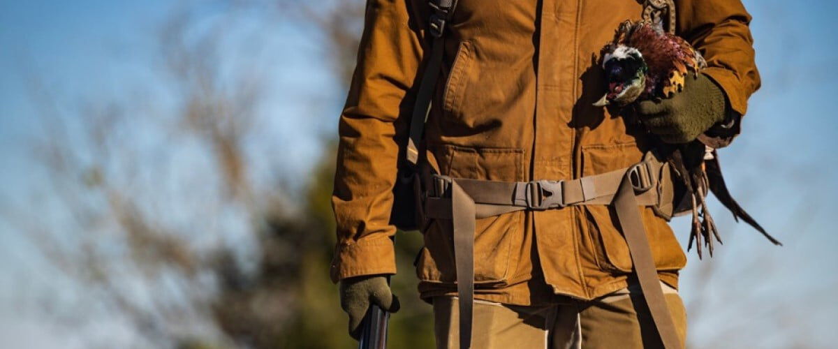 hunter carrying dead pheasants and a shotgun