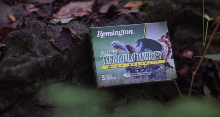 Premier Magnum Turkey box sitting in leaves