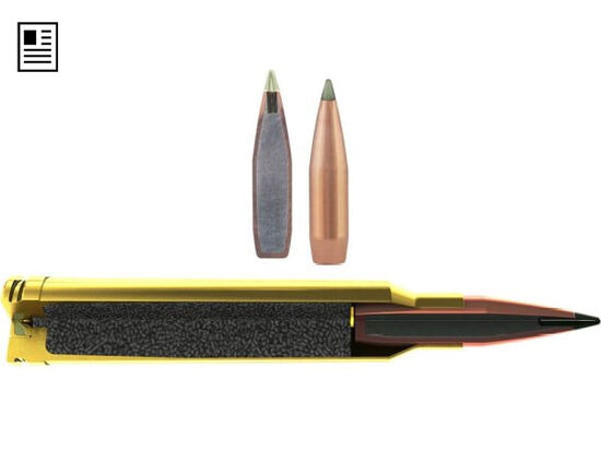 Premier Long Range cutaway and bullet 