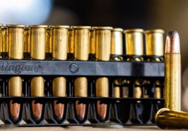 360 Buckhammer Core-Lokt cartridges in packaging tray