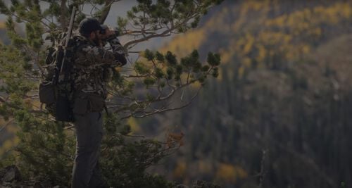 Ben Dettamanti standing on a hill and looking through binoculars into the distance