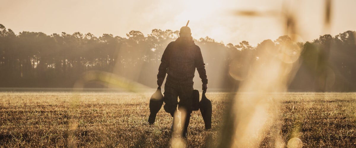 hunter walking in a field with the sun rise behind him carrying two decoys