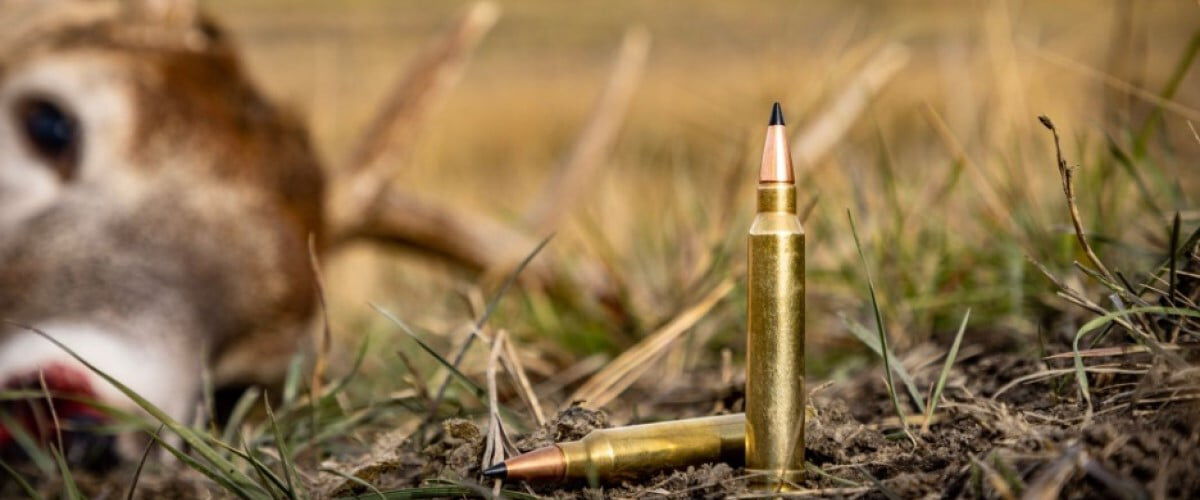 Remington cartridge standing on the ground in front of a dead deer