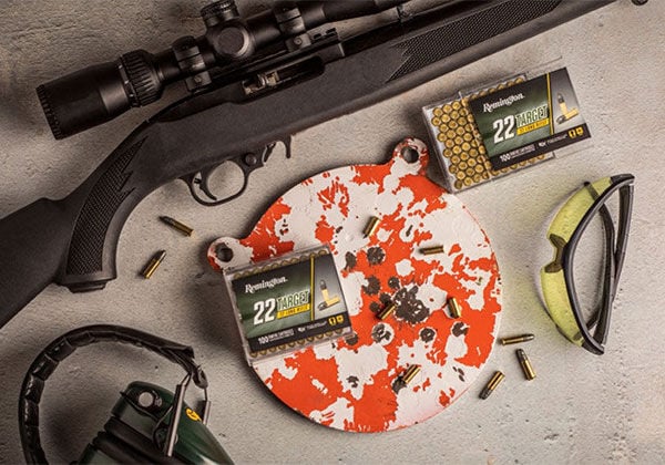 The Joys of 22 Plinking