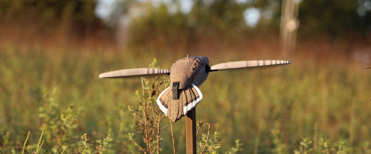 dove decoy