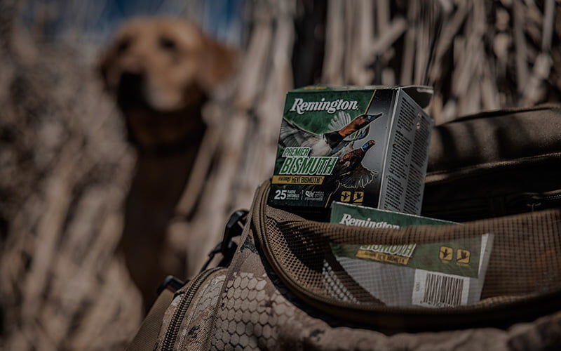 Premier Bismuth packaging sitting in a backpack with a dog in the background