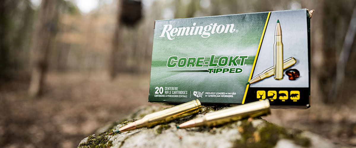 Core-Lokt tipped box and cartridge on a falled tree branch