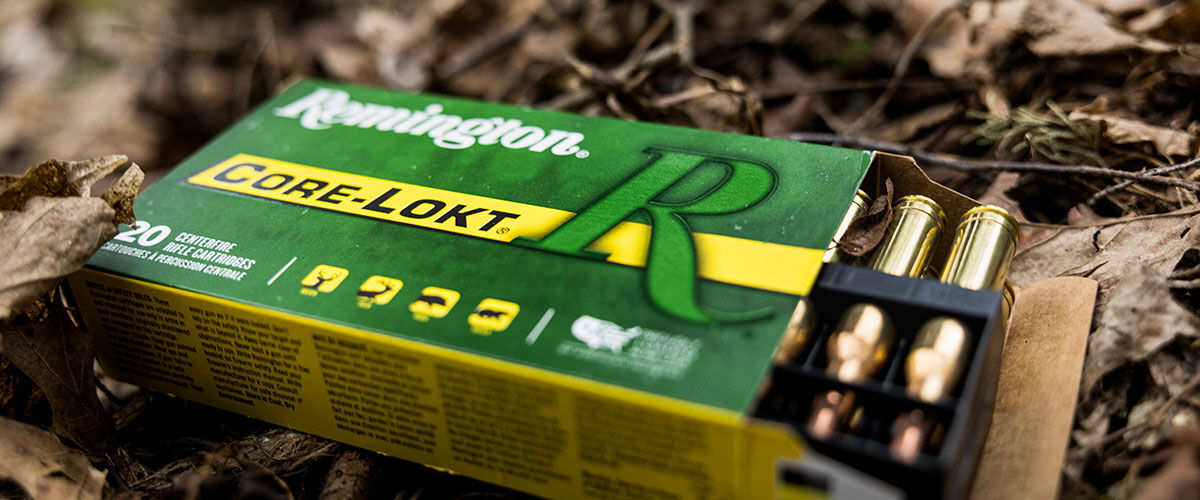 Core-Lokt box in the leaves