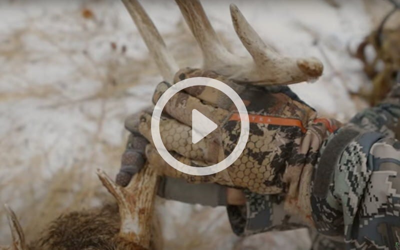 hunter holding the antlers of a dead deer