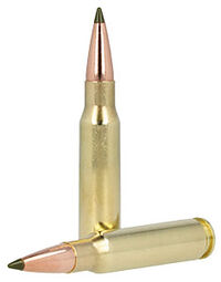 308 Win cartridges