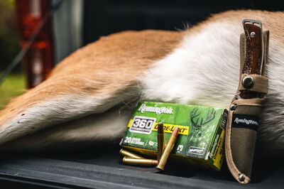 dead deer of the tailgate of a pickup with a box of Core-Lokt 360 Buckhammer, 360 Buckhammer cartridges and a knife