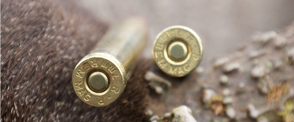 Remington cartridges sitting on an antler
