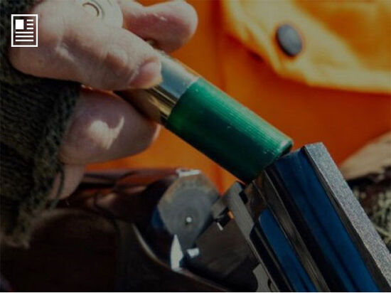 Bismuth shotshells being loaded into a shotgun