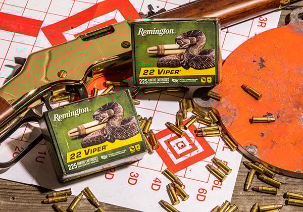 Best 22 LR Ammo