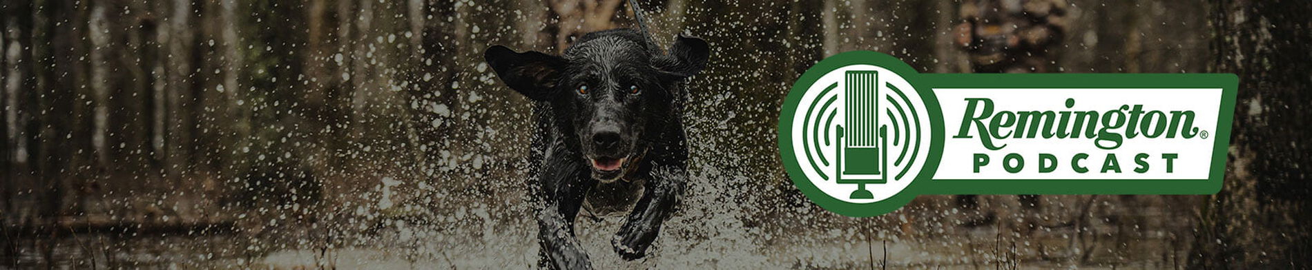 hunting dog running through water with the Remington Podcast logo