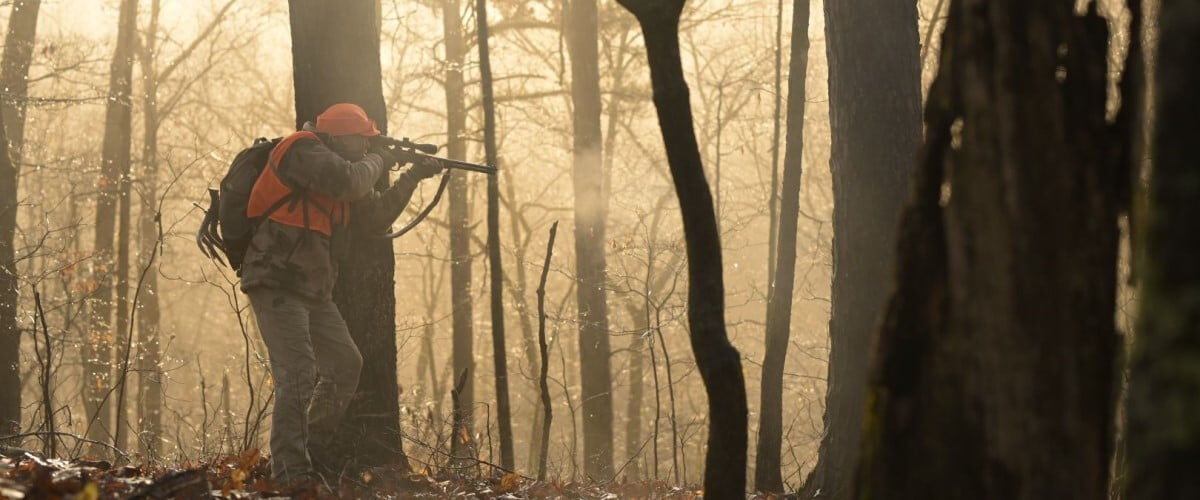 hunting aiming rifle in a wooded area