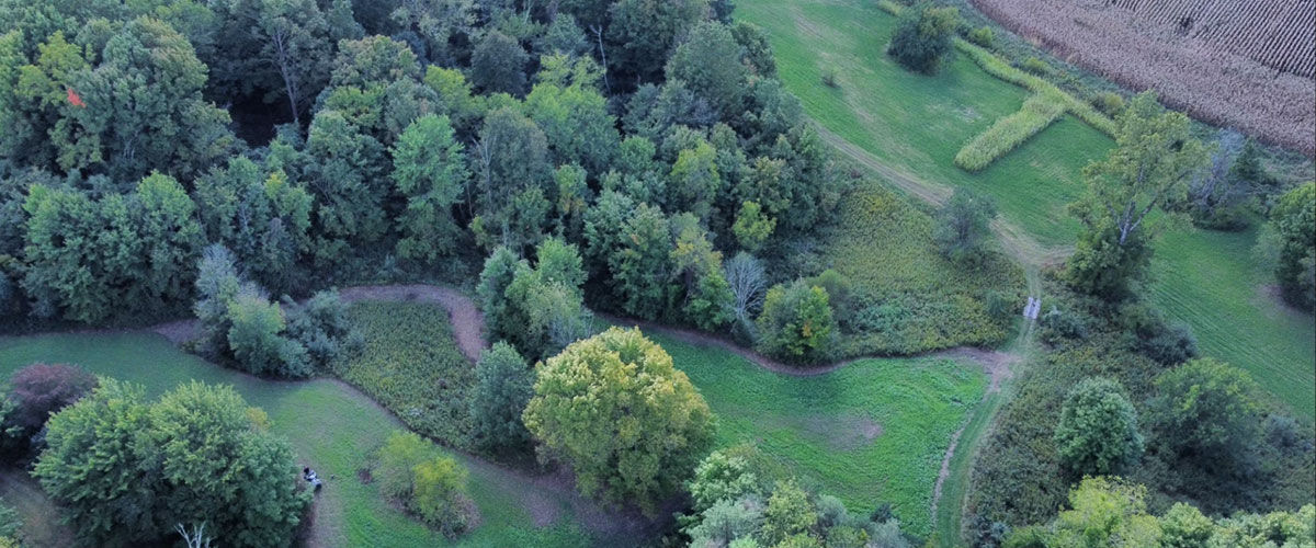 sky view of green grass and trees