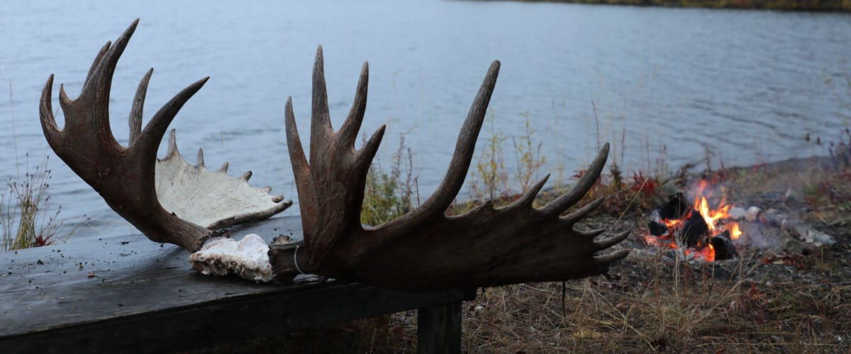 moose antlers laying on a wooden table by a lake with a fire in the background