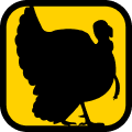 Turkey Icon