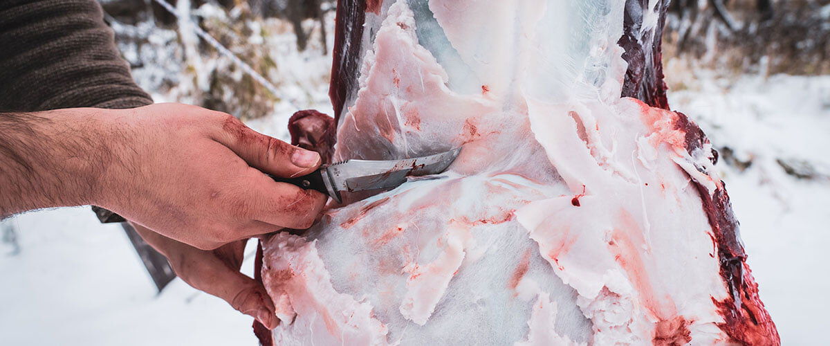 Deer being skinned