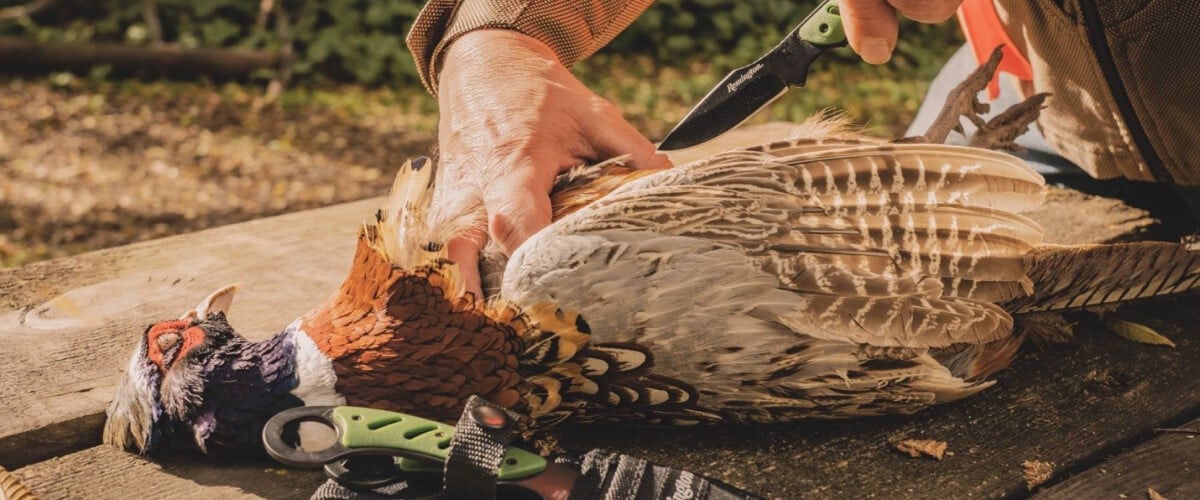 Remington knife being used to butcher a pheasant