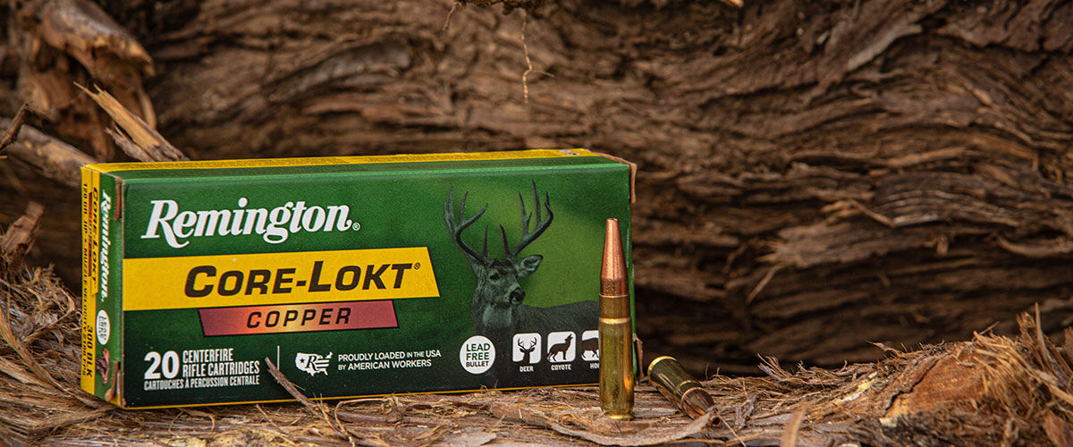 Core-Lokt Copper 300 BLK cartridge and box in front of a tree trunk