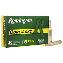 Core-Lokt packaging and cartridges
