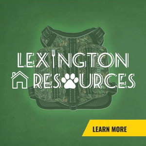Buy Lexington Resources