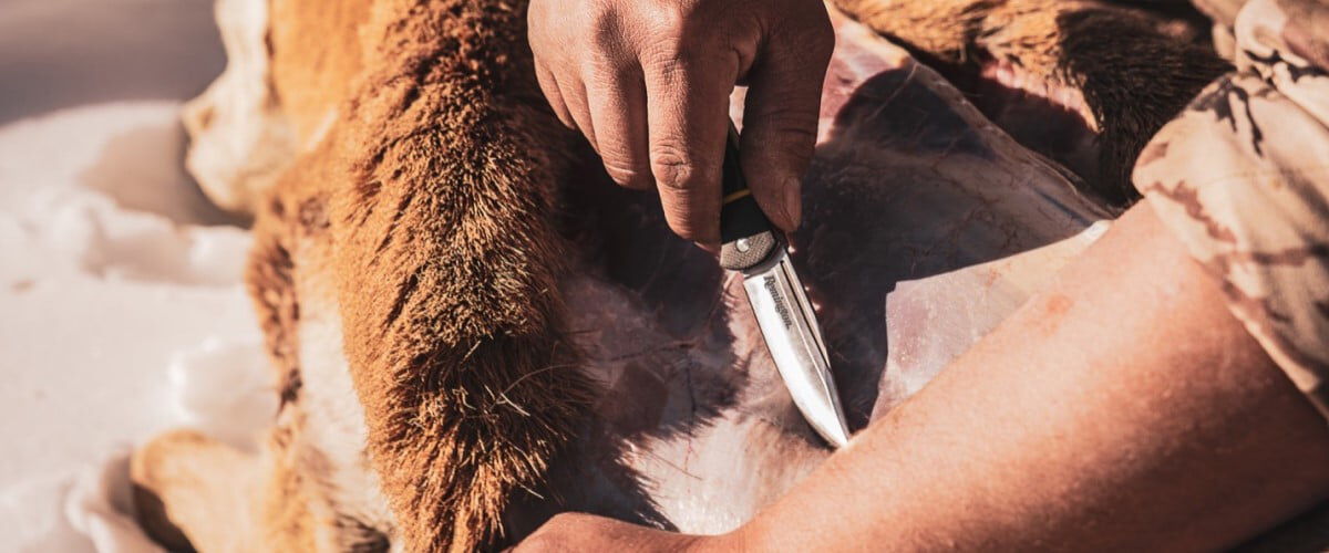 Remington knife being used to skin an animal