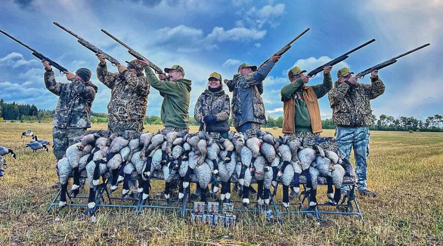 hunters aiming shotguns in front of dead geese