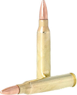 two Remington cartridges