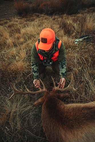 Hunting kneeling in front of downed elk