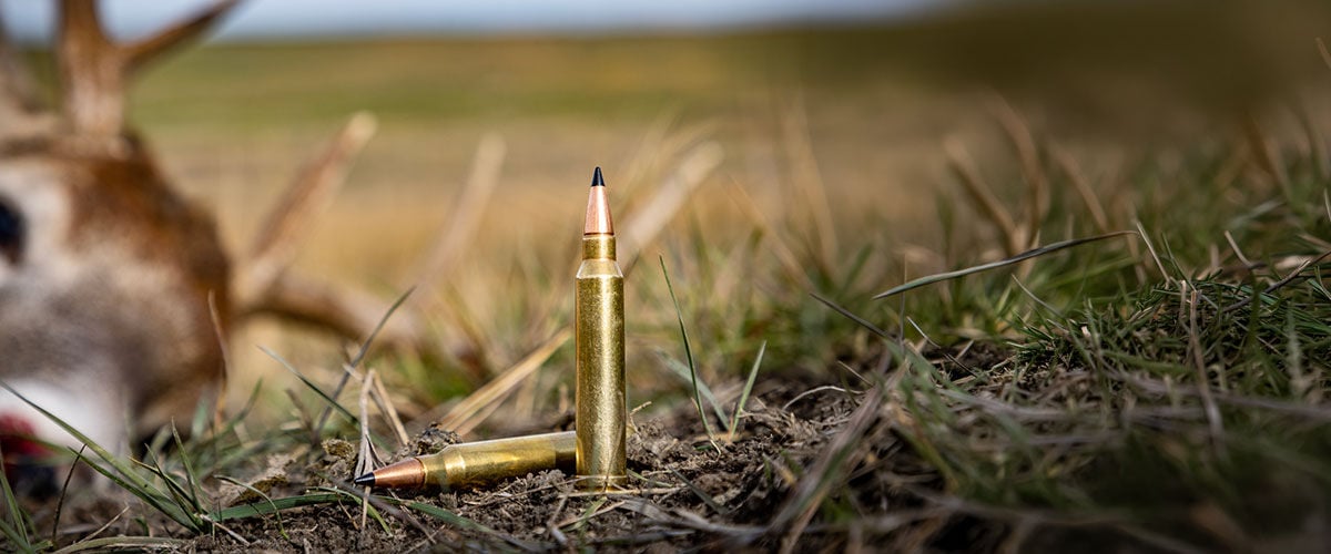 Remington cartridge on the ground with a dead deer in the background