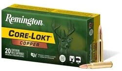 Core-Lokt Copper box and cartridge