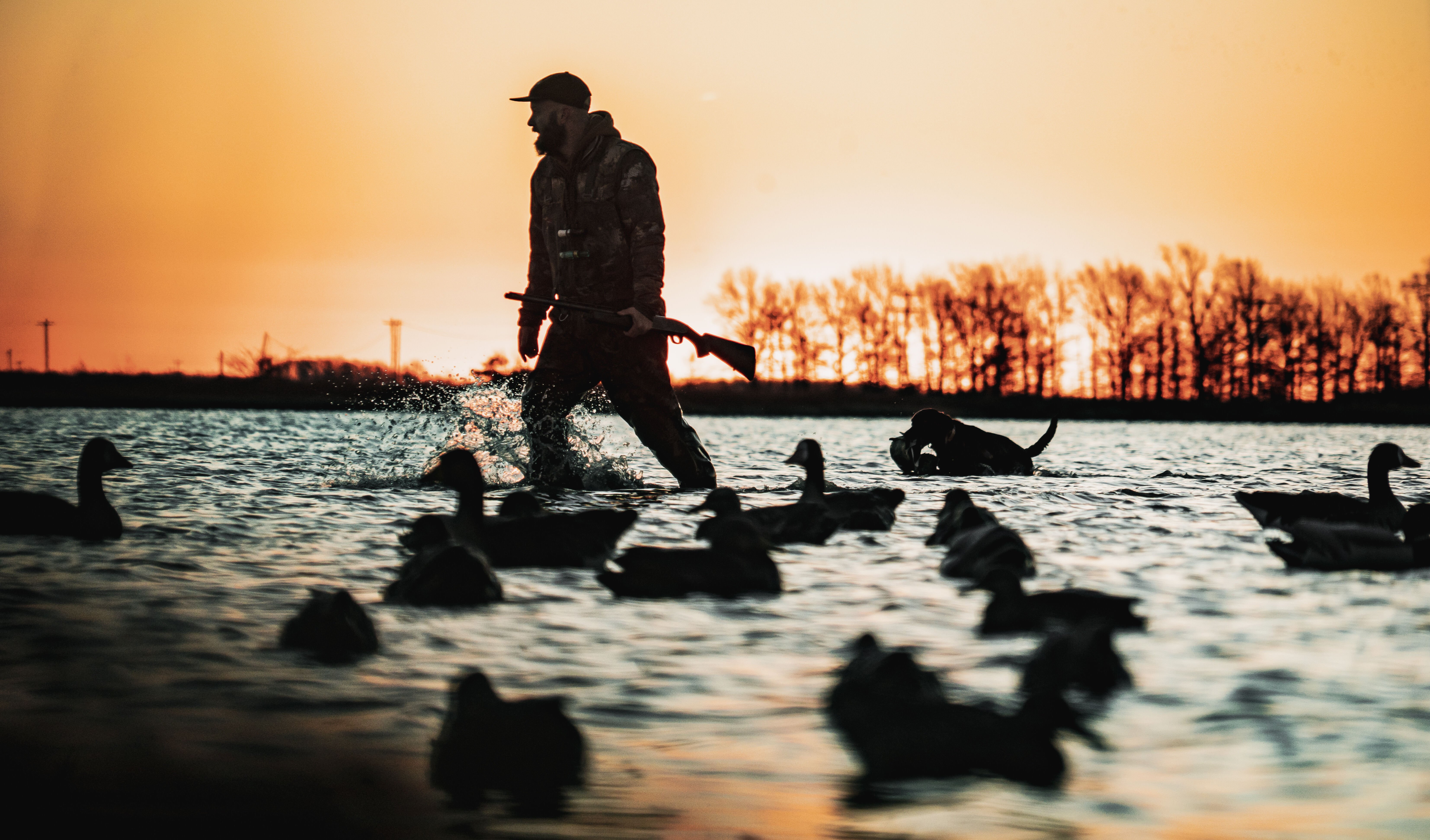 Bismuth vs Steel vs Tungsten: Choosing the Right Load for Waterfowl Hunting
