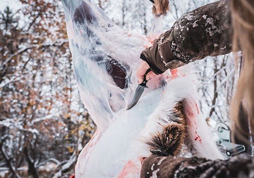 After the Shot: Field Dressing a Deer