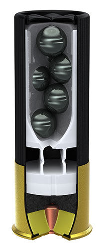 cutaway of a buckshot
