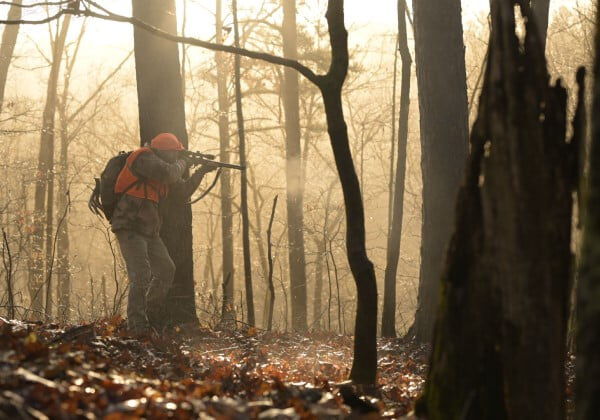 hunter aiming rifle surrounded by trees