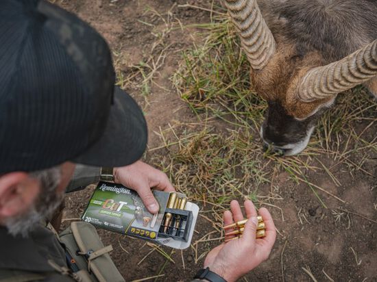 hunter holding Premier CuT in their hand with a bead waterbuck