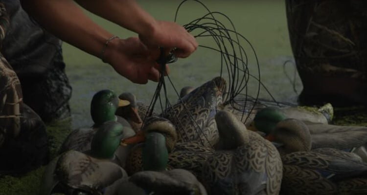 duck decoys being held together by strings