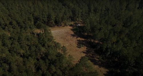 a pickup driving in a highly wooded area