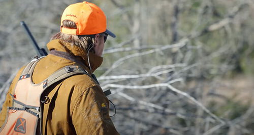 hunting carrying shotgun on shoulder with orange hat